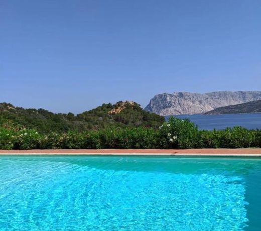 SAN TEODORO PUNTA EST AMPIO TRILOCALE VISTA MARe