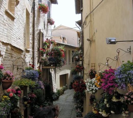 Casa Berti