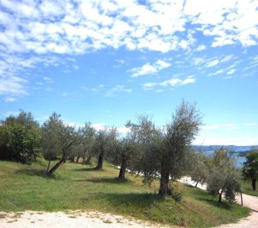 Agriturismo valsiniga
