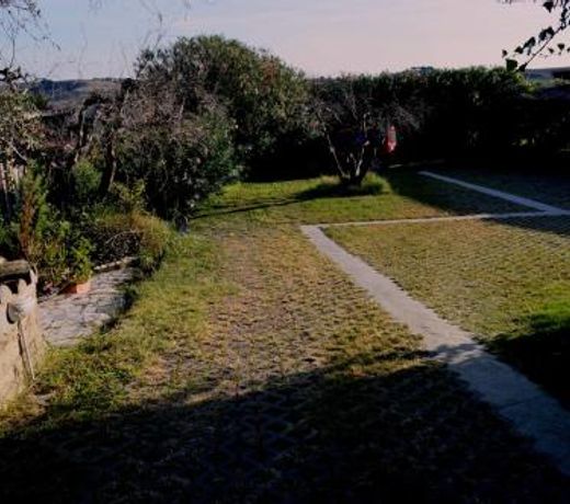 Villaggio Naif Lavanda