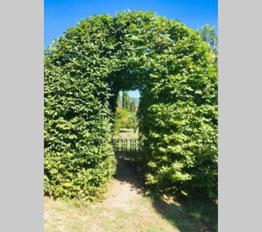 Secluded charming Cottage - Chianti