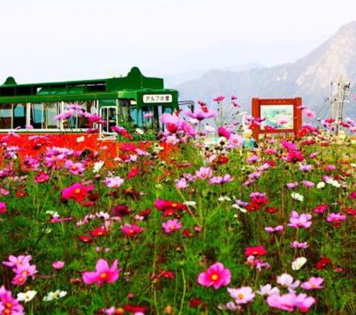 Angel Resort Yuzawa 803