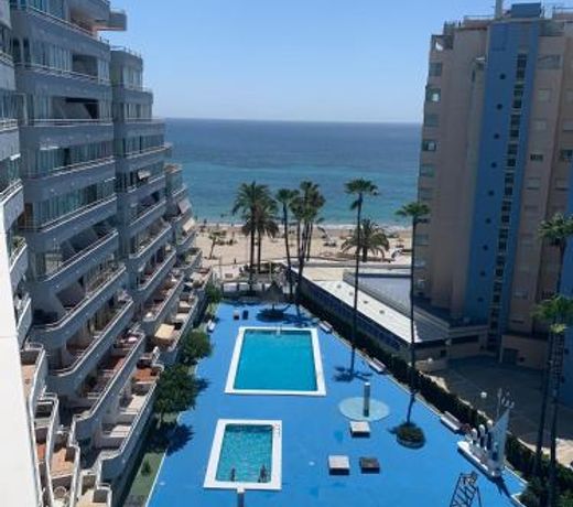SERVICE APART LAZARO- Apartamentos Aguamarina 58