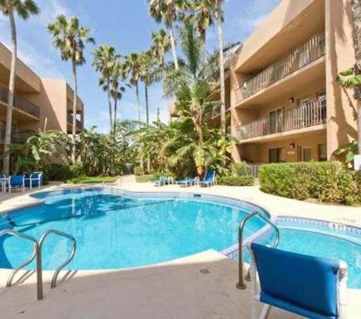 Beach View Condominiums by Padre Island Rentals