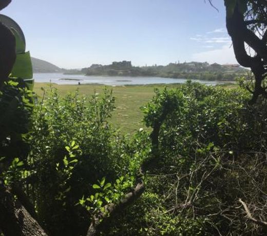 Milkwood House