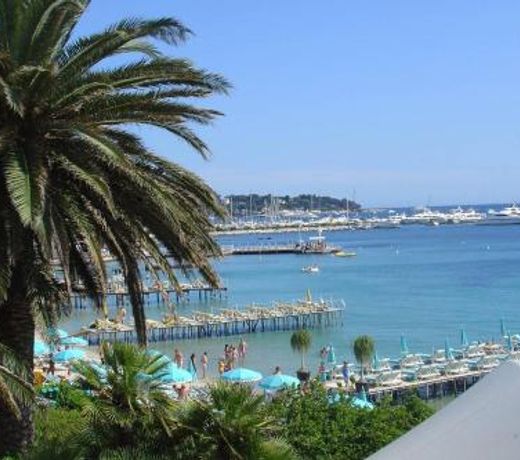 Le Vilmorin- Juan les Pins