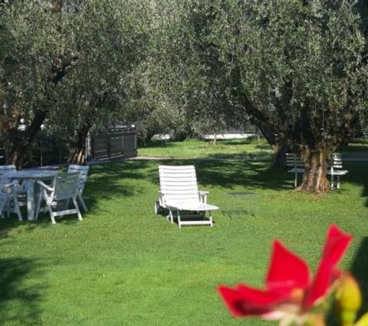 Olive Tree House