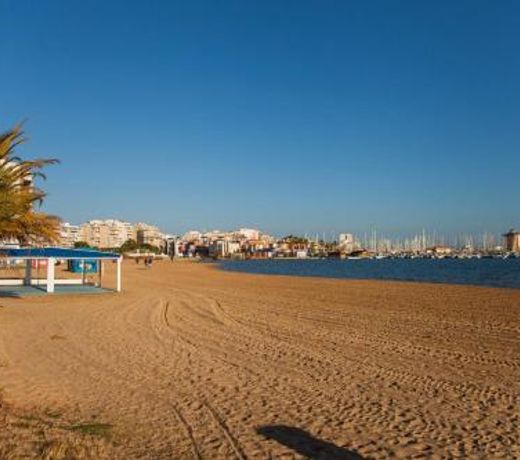 Valencia 15