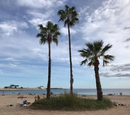 Sonnige Wohnung direkt am Meer