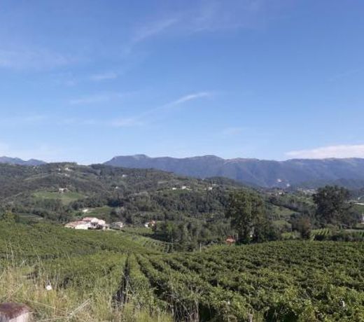 Villa delle Ortensie - Wine Hills