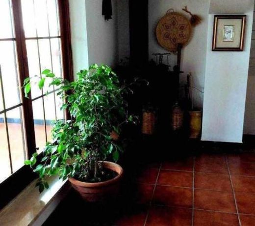 San basilio guest house