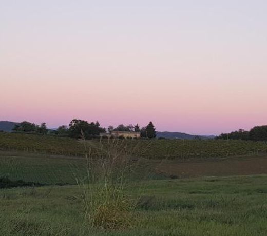 Sweet in Chianti