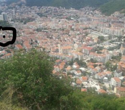 Apartman Pavle
