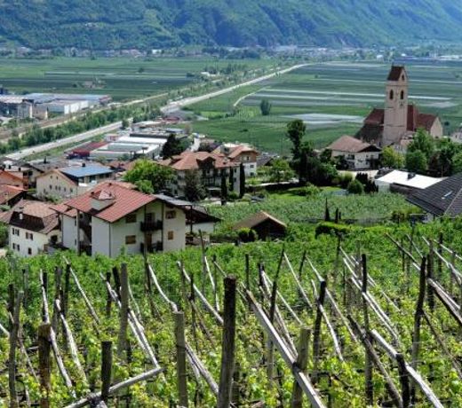 Boutique Appartamento Bacchus