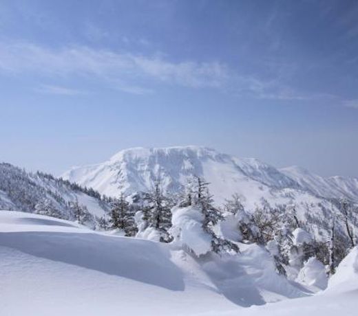 Angel Resort Yuzawa 417