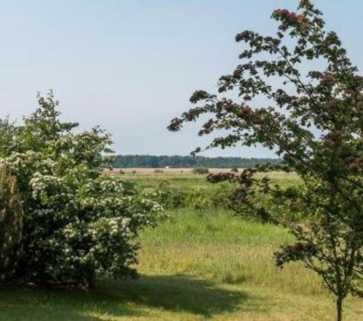 Landhaus am Wiecker Bodden