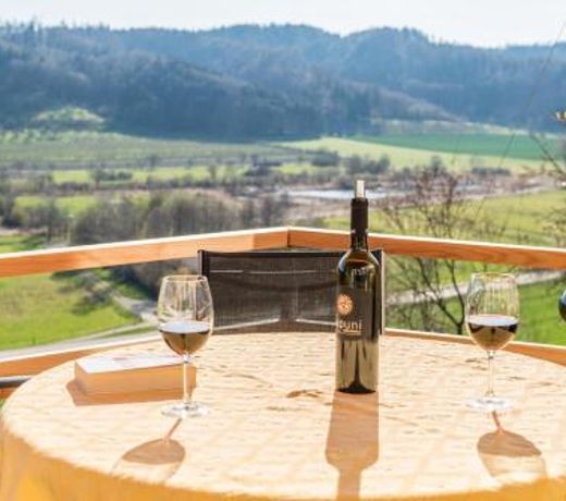 Ferienparadies Bodensee Fewo2
