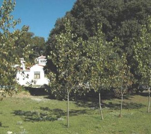 Granada 003