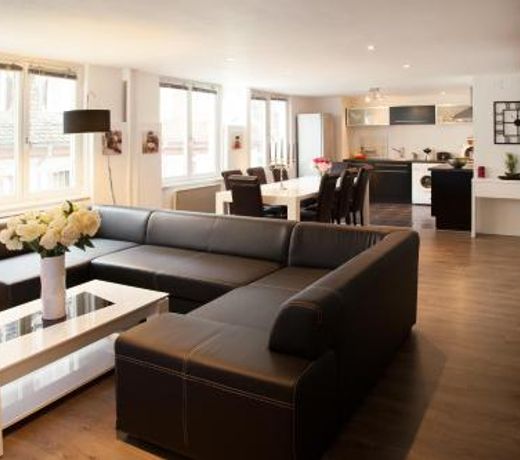 Le Corbeau - Grand Appartement Strasbourg Centre, Calme