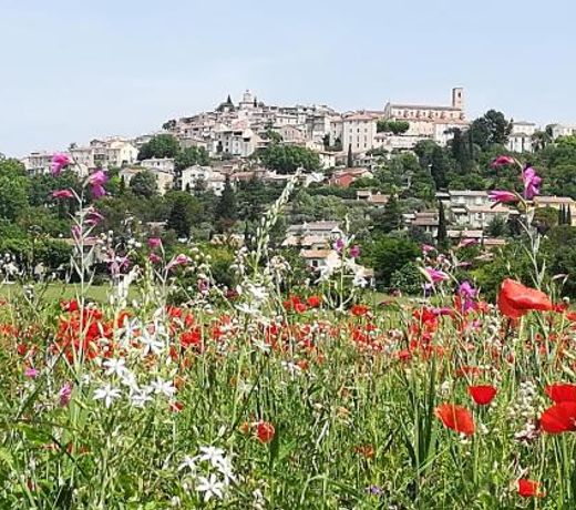 GITE DES CAMPAGNES