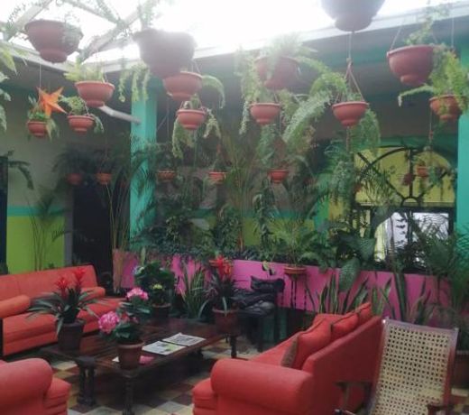 Hotel Kasa Kamelot Central