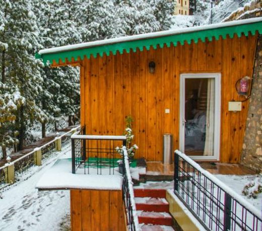 THEHIMALAYANLIVING WHISTLING PINES
