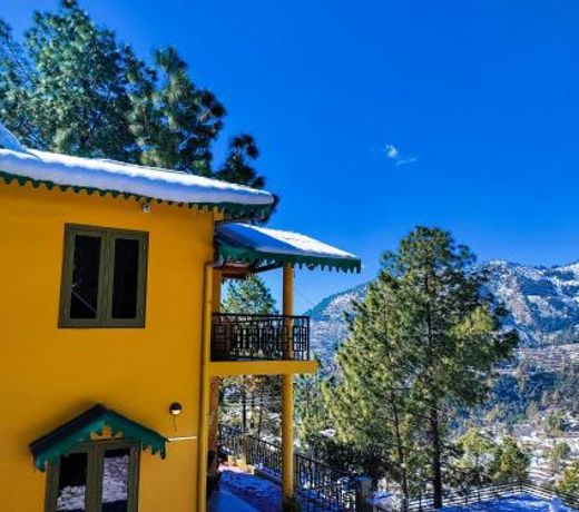 THEHIMALAYANLIVING WHISTLING PINES