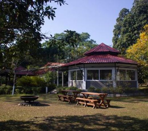 Puroni Bheti Tea and Farm Retreat