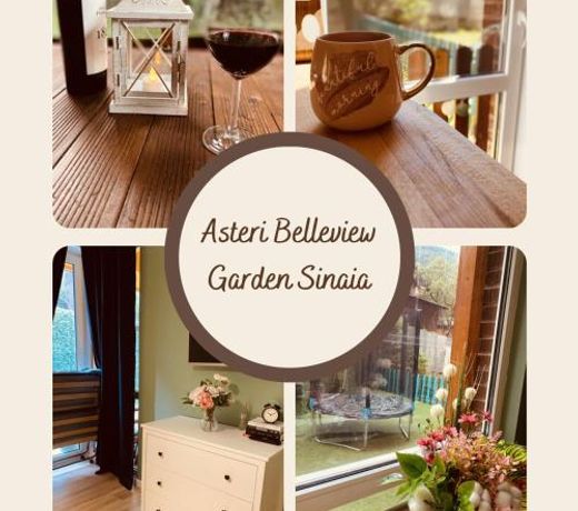 Asteri Garden & Terrace Apartment