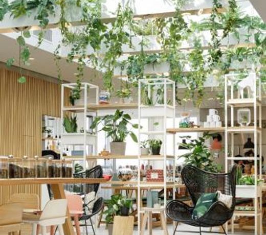 Zoku Vienna