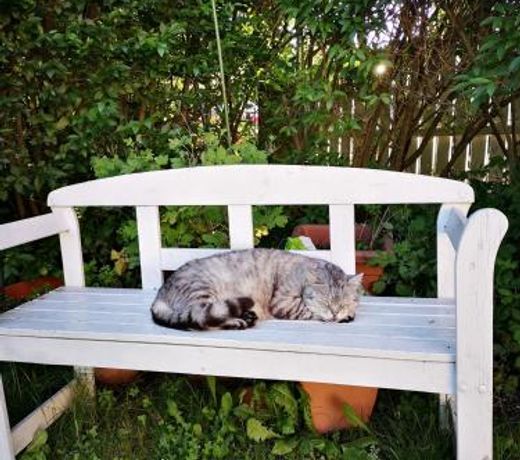 Hawei in Vienna - Doppelhaushalfte mit Garten und Pool zur Mitbenutzung