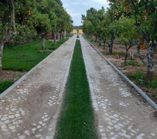 Quinta Vita - Vila Uva