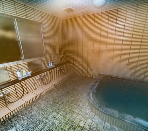 Anayama Onsen Nomisou Ryokan