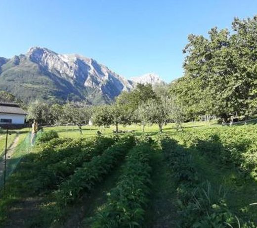 Il castello Agriturismo
