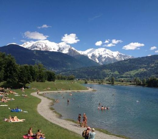 Fizhome Mont Blanc