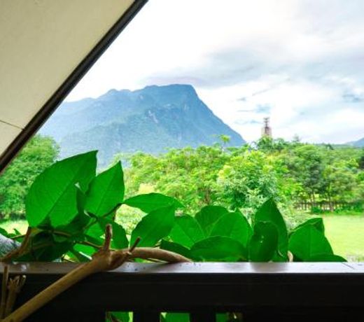 Cozycomo Chiang Dao - Wiang Mek