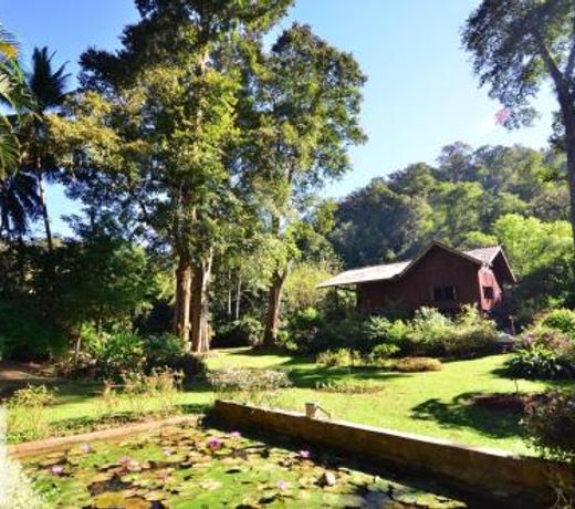 Farm63 Chiang Dao