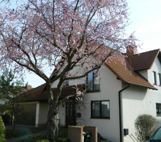 Ferienwohnung Kiko