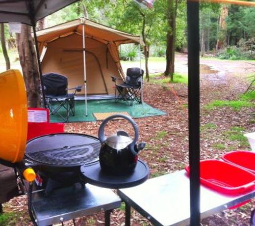 WA Wilderness - one step from nature