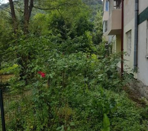 Premium Apartment Sinaia