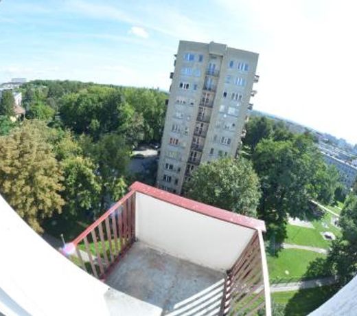 ul. Ugorek koÅo Areny