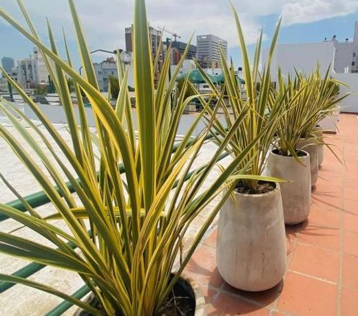 HOTEL CASTELAR CORDOBA