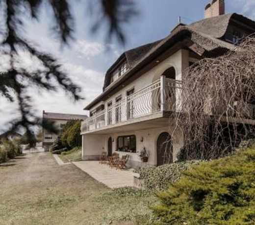 Ferienhaus Schilfvilla