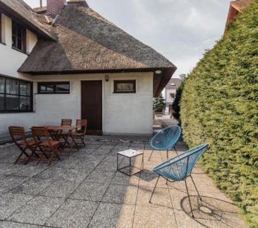 Ferienhaus Schilfvilla