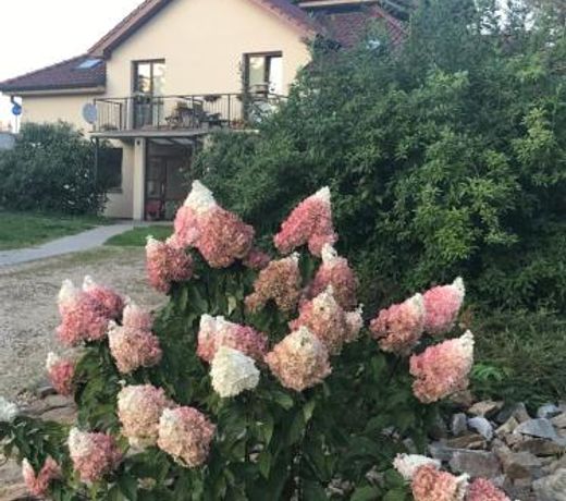 Apartman Romantica