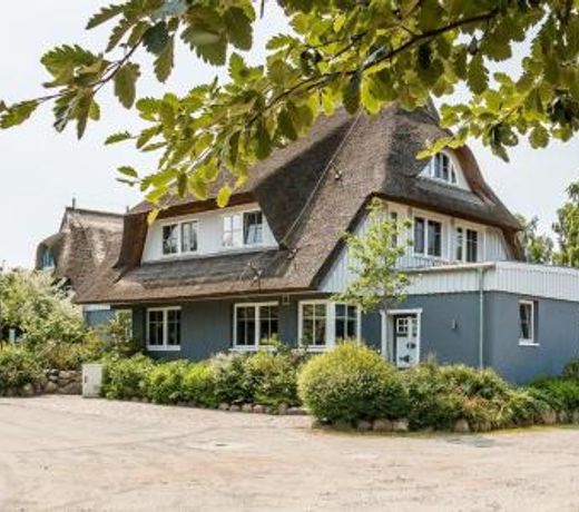 Freischwimmer