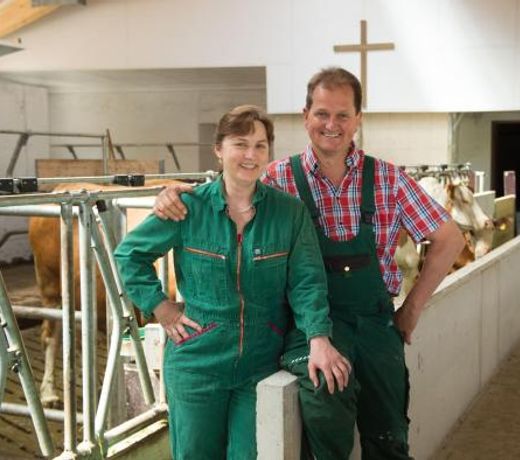 Ferienwohnungen Kilianmühle