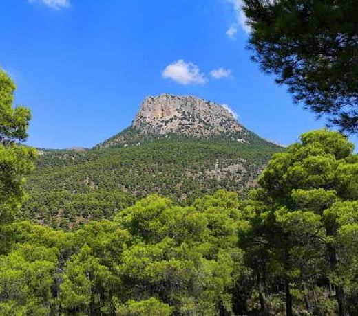 Apartamento Juana en Monaco