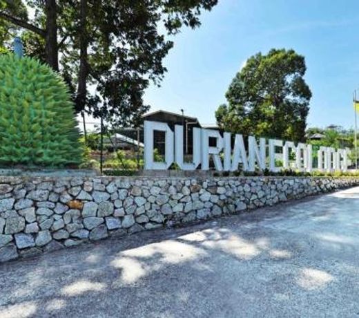 Durian Ecolodge
