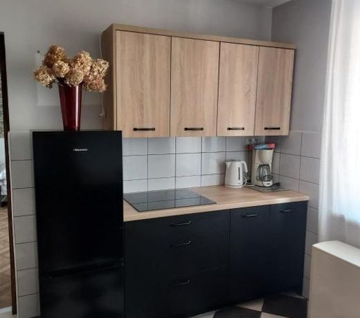 Apartment Chorzow Center